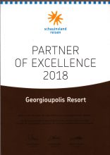 Partner of Excellence 2018